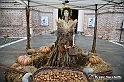 VBS_8160 - Fera dla Cossa e dij Pocio - Virle Piemonte 2021